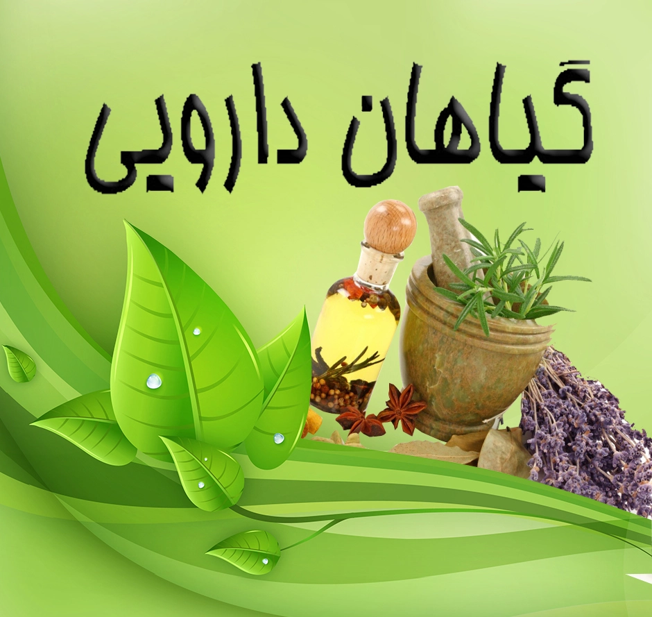 گیاهان دارویی